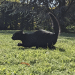 wm casino betslotxo ??? ?????????????????