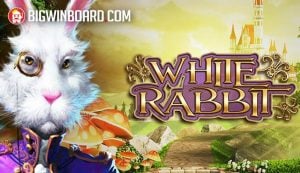 ?????????????? ????? askmebetslot rt demo ??????????