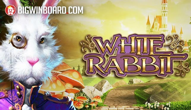 ????????????????? mb88 ????? ???????????????